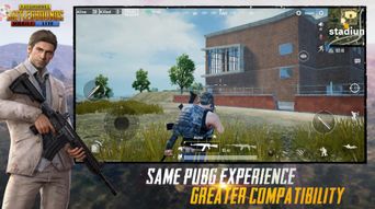 pub游戏,畅享欢乐时光的虚拟盛宴