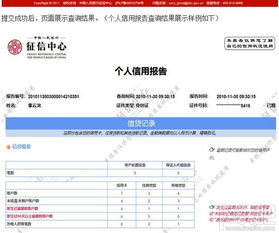 小白优信征信查询平台官方版下载地址 