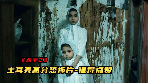 西辛2