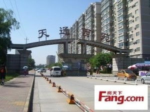 西一区