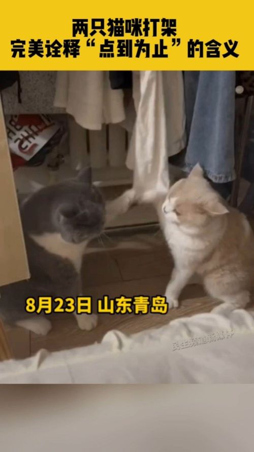 有意思旅游 