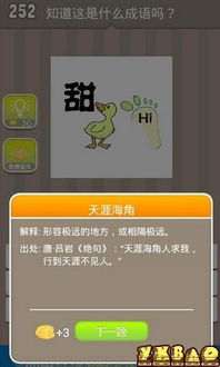 成语老匹夫 