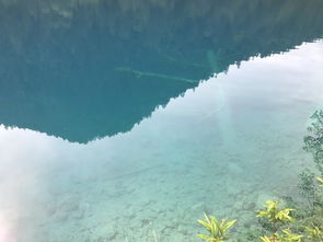 王国防御帝国战争