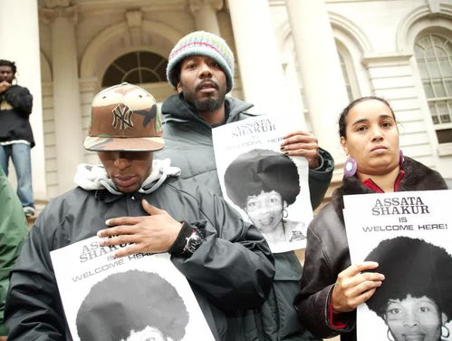 披萨塔中文版下载