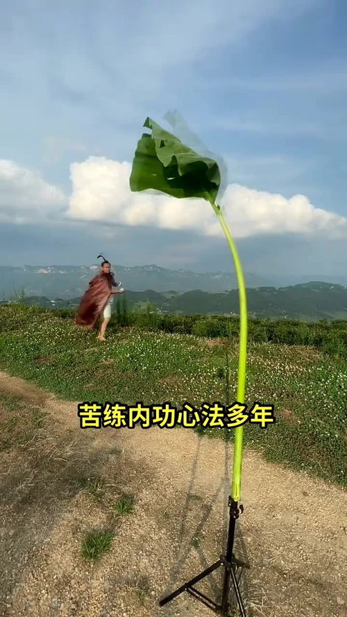 成语飞花令 